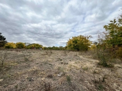 PLAC NA MAKOVOJ SEDMICI